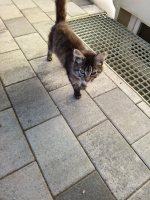 thumb_WhatsApp Bild 2025-09-04 um 09.08.26_f2cd7a0c thumb_WhatsApp Bild 2025-09-04 um 09.08.26_f2cd7a0c